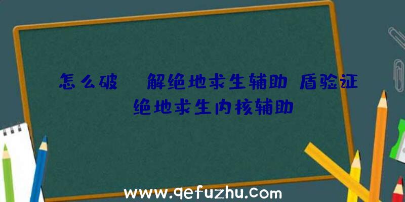 「怎么破解绝地求生辅助e盾验证」|绝地求生内核辅助